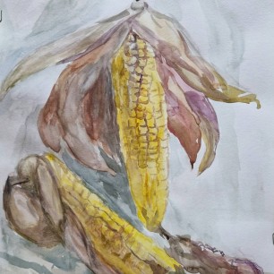 Красавица из поля