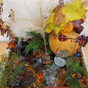 Домик для Совы