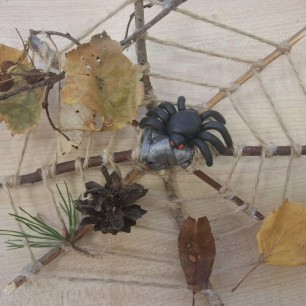 Паучок на паутинке