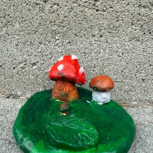 Поляна с грибами