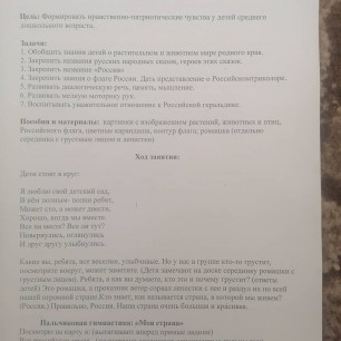 "В поисках ромашки"