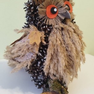 Мудрая сова