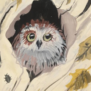 Очарование осеннего леса