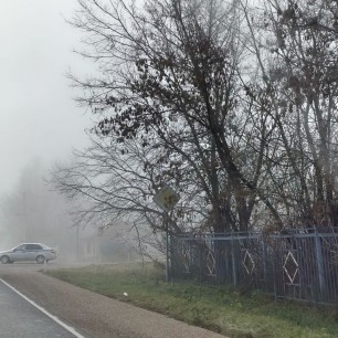 Утро туманное