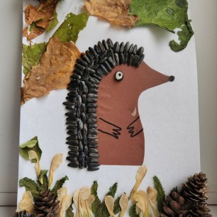 "Милый Ёжик"