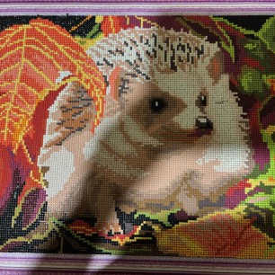 Ёж в листве