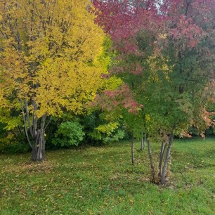 "Осенний вайб"