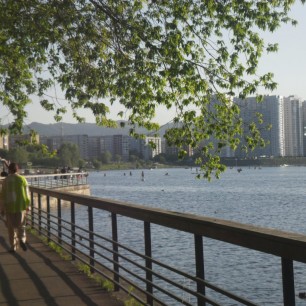 Спокойствие городского берега