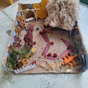 "Осень золотая" "Дары осени"