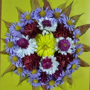 Осеннее солнышко