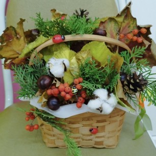 Красавица осень