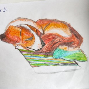 Спящий щенок