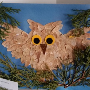 Лесная сова