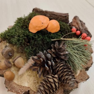 Чудесный пенек