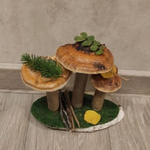 Грибы на поляне