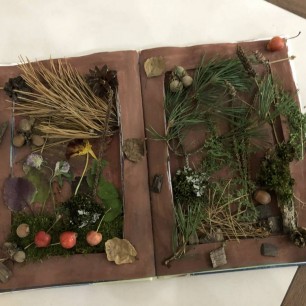 Осенняя книга