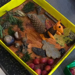 Белочка в лесу