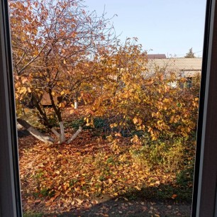 "Ко мне в окошко заглянула осень"