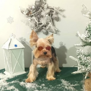 Брутальный Рикки