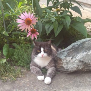 Я такая... вся такая! (Милка)