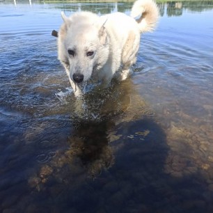 Блондинка Ева - любительница водных процедур