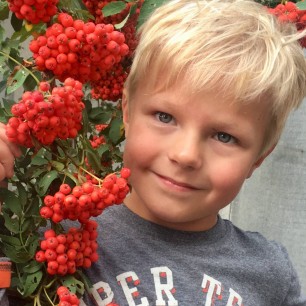 Краски осени