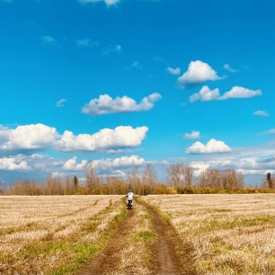 Лето- осень. Место встречи