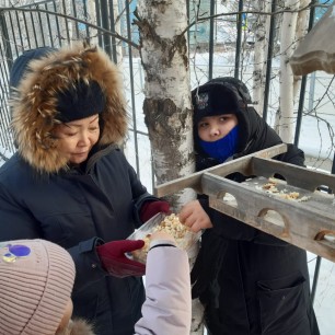 Покормите птиц зимой