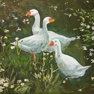 Лето в деревне