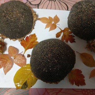 Осеннее панно