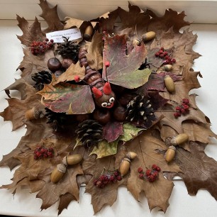 Осенняя бабочка