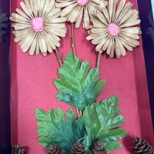 Красивые цветочки!