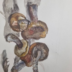 грибное дыхание