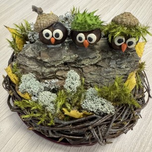 "Лесные подружки"