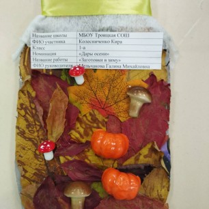 Заготовки в зиму