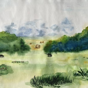 Летний зной