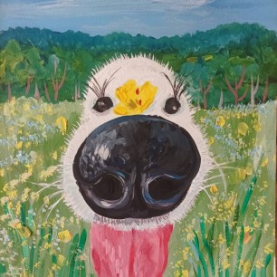 На поляне с собакой