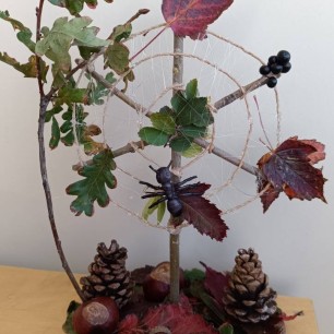 В гостях у паука