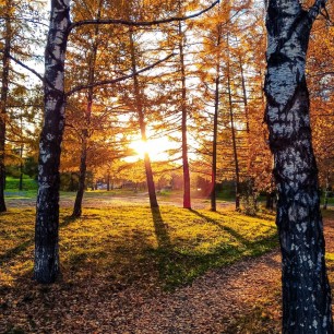 Золотая осень