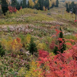 Красота осени
