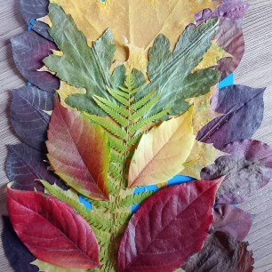 Краски золотой осени