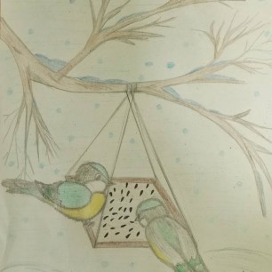 Синички-наши друзья