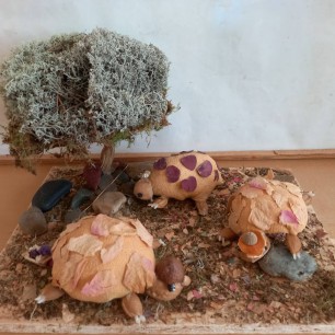 Черепашки на отдыхе