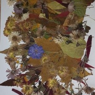 "Волшебный лист осенний"