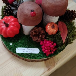 Грибная полянка