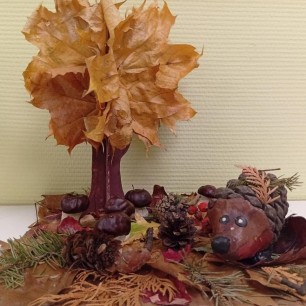 Краски осени