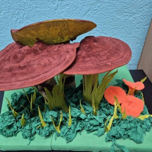 "Грибы - грибочки"