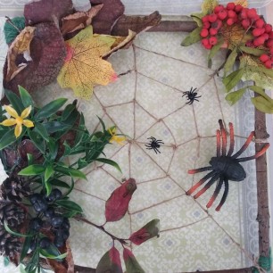 "Осенняя паутинка"