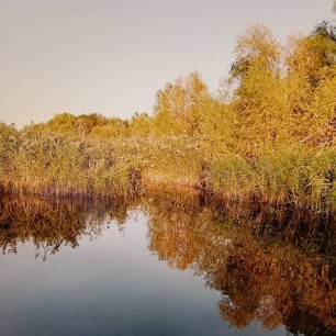 Осень на Волге