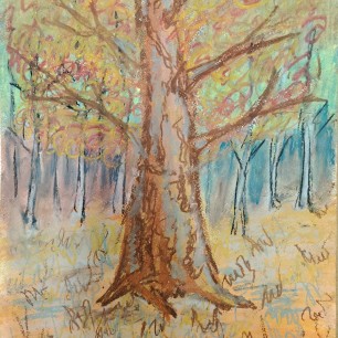 осенний лес